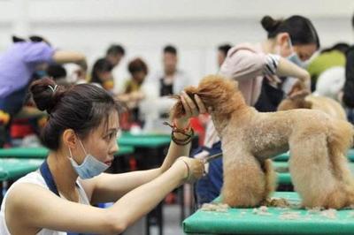 中國寵物經(jīng)濟(jì)強(qiáng)勢爆發(fā) 方博士寵物DR引領(lǐng)寵物醫(yī)療與寵物服務(wù)新生態(tài)