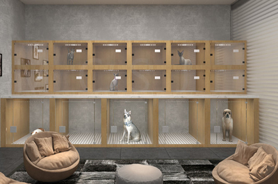 寵物店引領(lǐng)專業(yè)養(yǎng)護(hù)新潮流——全方位寵物服務(wù)的創(chuàng)新與未來