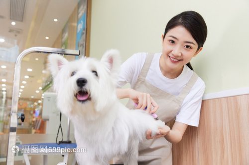 專業(yè)寵物美容 女性技師如何安全地為寵物狗修剪指甲