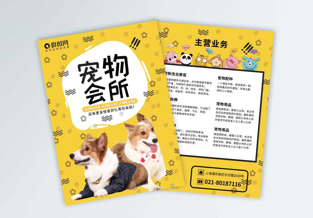 寵物箱海報設計 連接溫暖與專業的寵物服務窗口