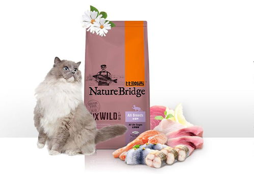 寵界雙十一 這場狂歡，能否真正俘獲主子的心？