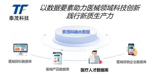 貫徹全國科技大會精神 泰茂科技以創新踐行新質生產力，引領信息技術咨詢服務